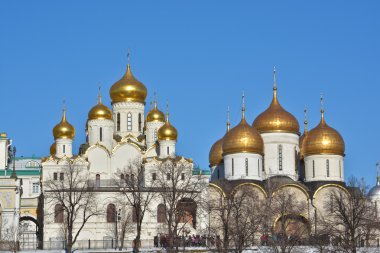 Altın Kubbe Moskova Kremlin'ın Kilisesi.