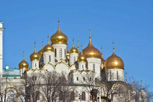 Dômes d'or des églises du Kremlin de Moscou . — Photo