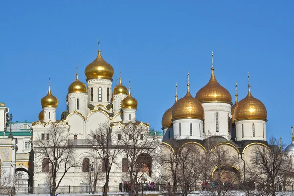 Golden domes of churches in the Moscow Kremlin. — Stock Photo, Image