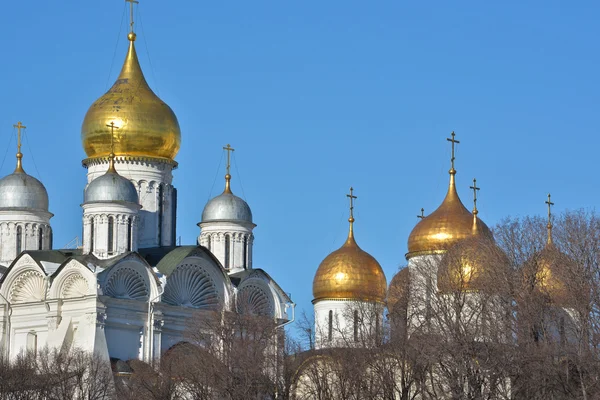 Golden domes of churches in the Moscow Kremlin. — Stock Photo, Image