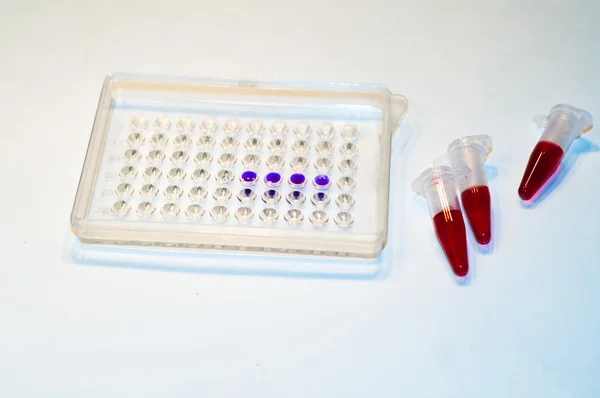 En laboratorios de investigación biológica . —  Fotos de Stock