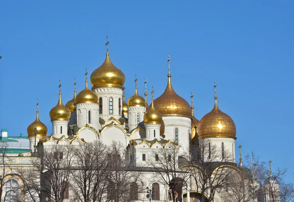 Golden domes of churches in the Moscow Kremlin. — Stock Photo, Image