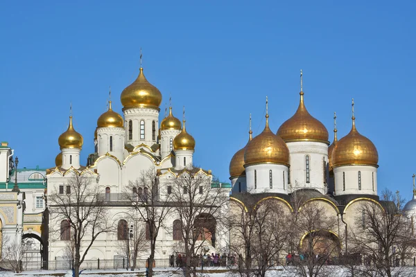 Golden domes of churches in the Moscow Kremlin. — Stock Photo, Image
