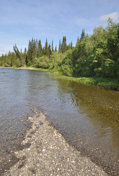 Paysage de la rivière boréale Nord . — Photo