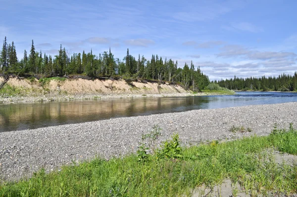 Landschap van de rivier de noordelijke boreale. — Stockfoto