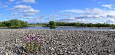 Panoramik nehir manzara polar Urallarda. 