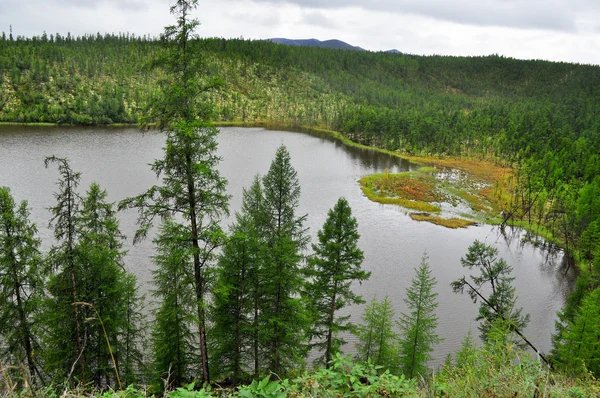 Yakut taiga sjön molnig dag. — Stockfoto