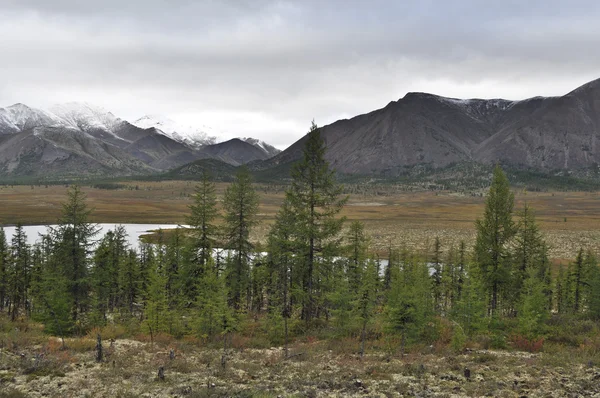 Autumn tundra on the background of mountains in Yakutia. — Stock Photo, Image