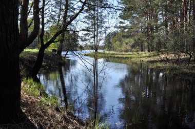 sessiz nehir durgun bahar