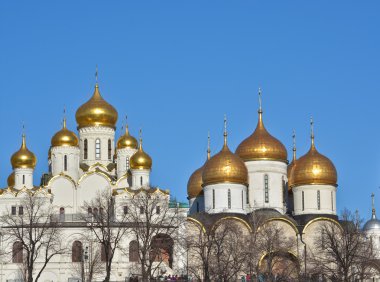 Kremlin kilise kubbeleri. 