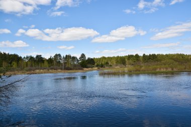 Bahar River güneşli gün.