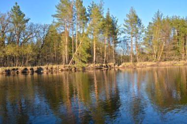 nehir manzara bahar. 