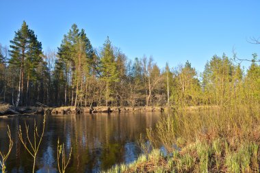 nehir manzara bahar. 