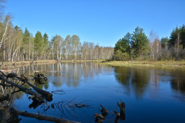 Bahar nehri manzarası. 