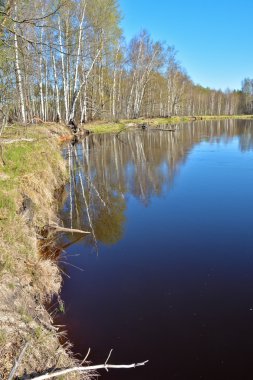 Bahar nehri manzarası. 