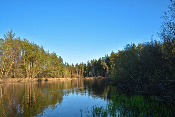 Říční krajina na jaře. — Stock fotografie