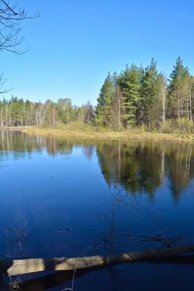 River landscape in spring. — Stock Photo, Image