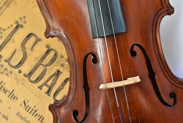 Violino antico tedesco e note . — Foto Stock