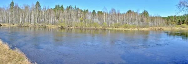 Панорама весенней реки . — стоковое фото