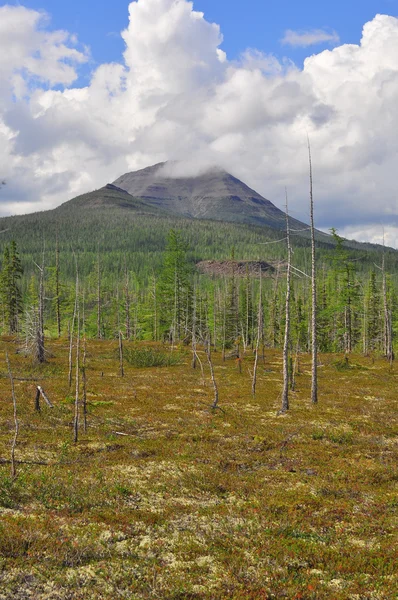 Tundra in den Ausläufern der Putorana-Hochebene. — Stockfoto