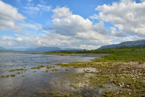 Οροπέδιο της λίμνης του Putorana το καλοκαίρι. — Φωτογραφία Αρχείου
