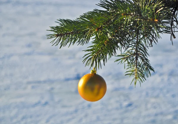 La bola de oro en una rama del árbol de Navidad . —  Fotos de Stock