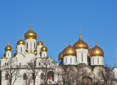 Kremlin kilise kubbeleri. 