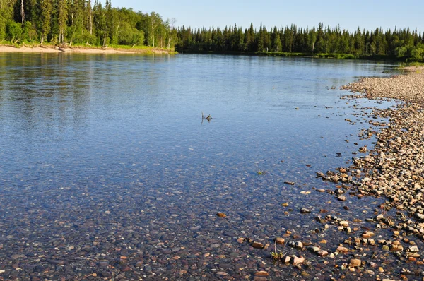 Wybrzeże Północnej rzeka boreal. — Zdjęcie stockowe