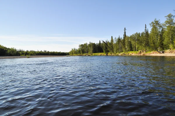 Paisaje del río taiga . — Foto de Stock