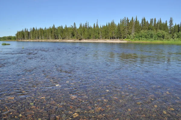 Pebble rivierbedding. — Stockfoto