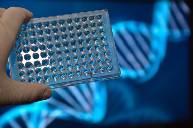 Dna testi. 