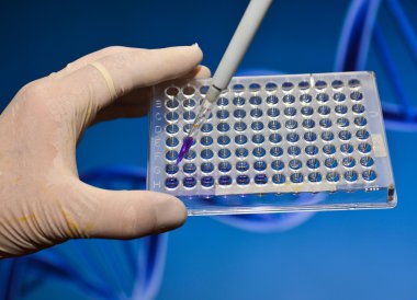 Dna bilimsel bir laboratuvar testi.