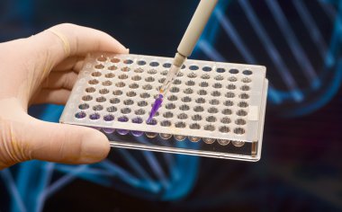 Dna bilimsel bir laboratuvar testi.