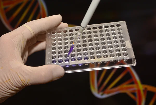 Pruebas de ADN en un laboratorio científico . —  Fotos de Stock
