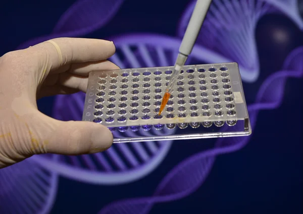 bilimsel deney Laboratuvarı.