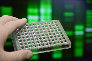 Laboratuvarda iyi plaka.