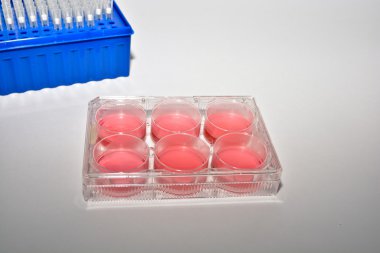 Biyolojik araştırma hücre teknolojileri.