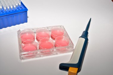 Biyolojik araştırma hücre teknolojileri.