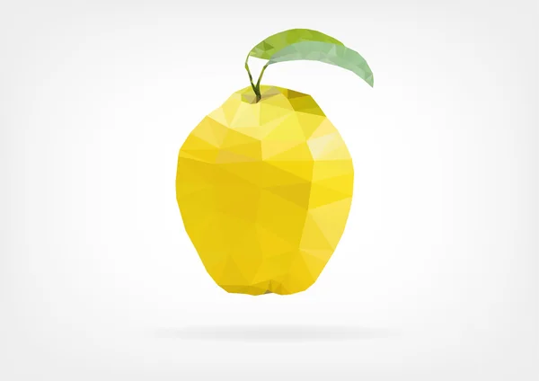 Quince de poli bajo — Vector de stock