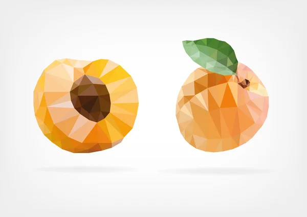 低聚杏 — 图库矢量图片