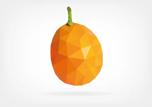 Low Poly Kumquat ovoce — Stockový vektor