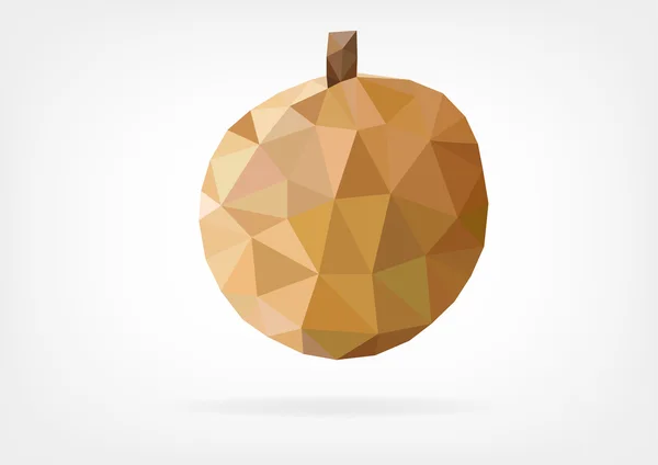 Faible Poly Longan fruit — Image vectorielle