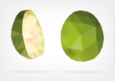 Düşük Poli Spondias