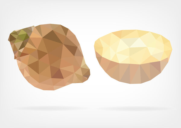 Low Poly Sapote fruit