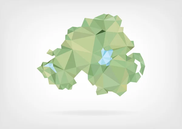 Low Poly map of Northern Ireland — Stock Vector