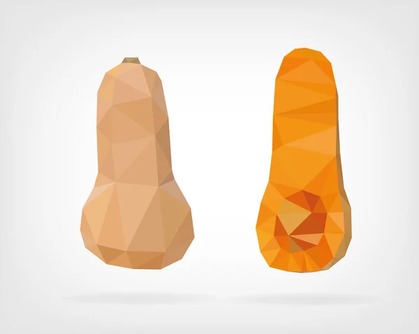 Low-Poly-Butternut-Kürbis — Stockvektor