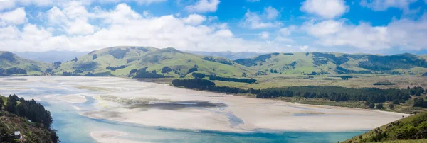 Полуостров Отаго, Данидин, Новая Зеландия — стоковое фото