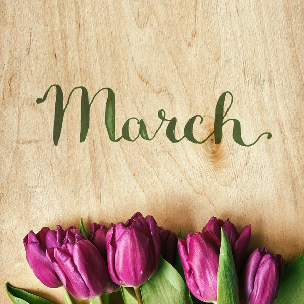 March brush nib lettering calligraphy. Pink, tulips bunch on light plywood background. Postcard template. — Stock Photo, Image