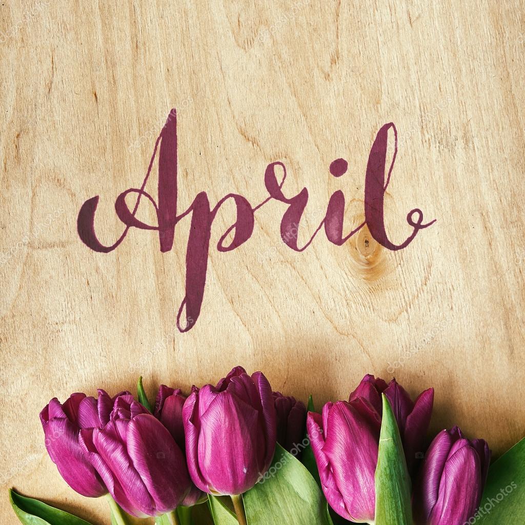 April brush nib lettering calligraphy. Pink, tulips bunch on light ...