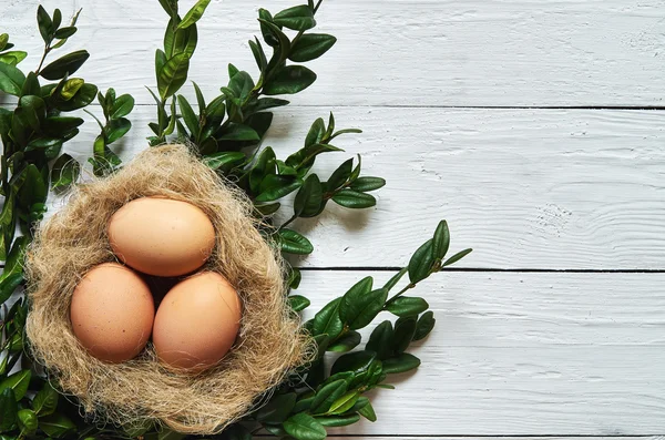 Nest mit Eiern auf weißen Holzplanken Hintergrund. Ostergruß Postkartenschablone. Raum für Kopie, Text, Schrift. — Stockfoto